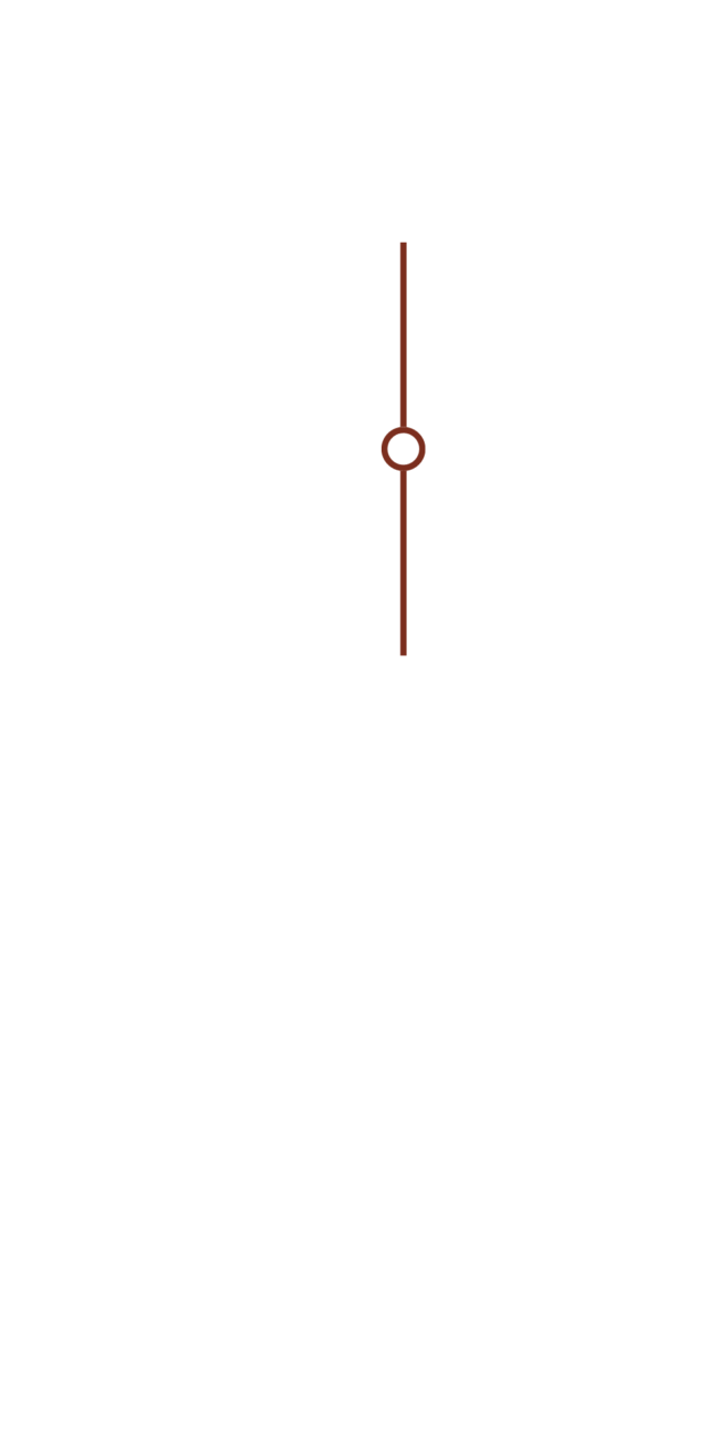 Formalização e Início dos Serviços